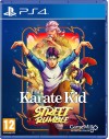 The Karate Kid Street...